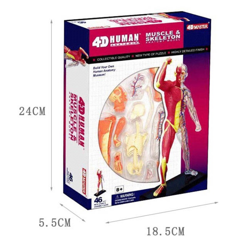 4d Master Human Muscle Skeleto - Medical Lab Technology review and price